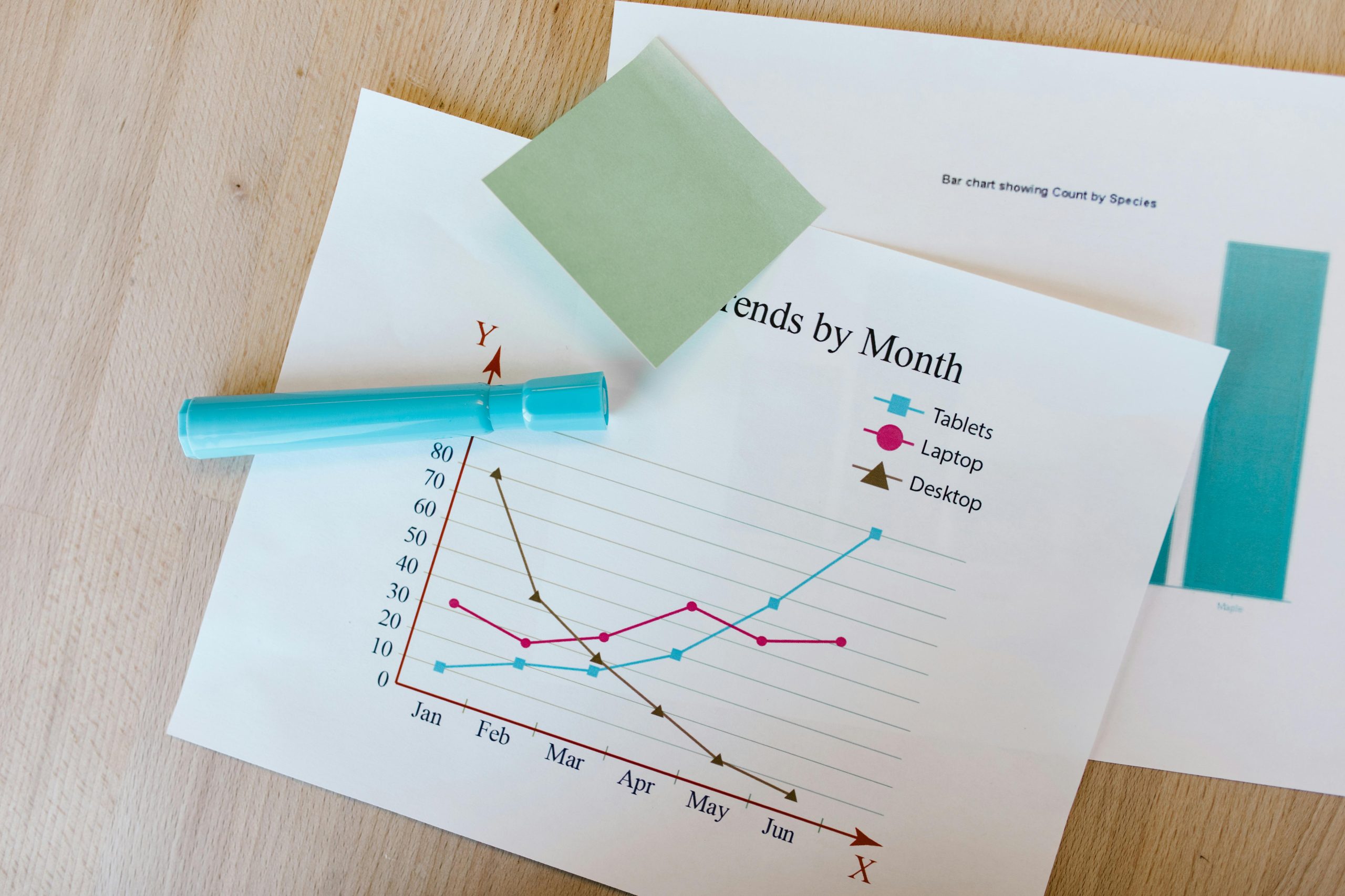 Transparent Monthly Reports